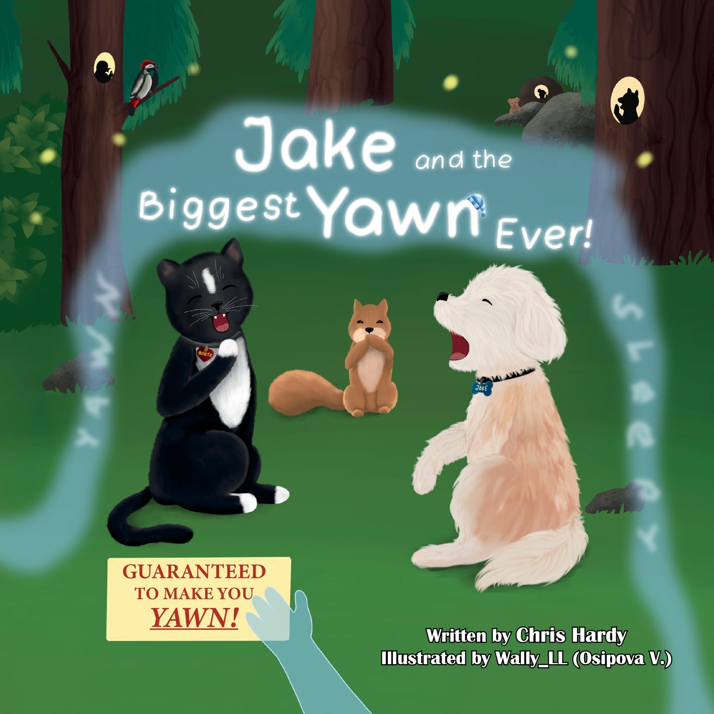 Jake and the Biggest Yawn Ever! (Premium Hardcover Book)